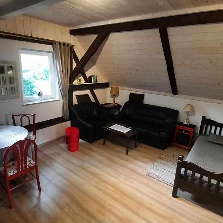 Apartament Jelen W Smokingu Sulow  Zewnętrze zdjęcie